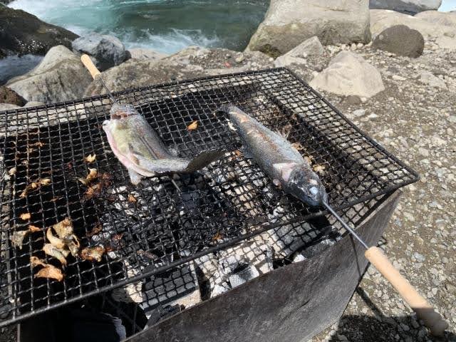 神奈川の釣り堀スポット