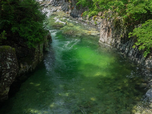 うらたんざわ渓流釣場ってどう?釣れる魚種、料金やレギュレーションをご紹介!