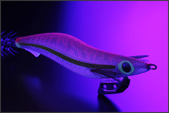 ケイムラとは?意味や効果、釣れるルアーやエギをご紹介!