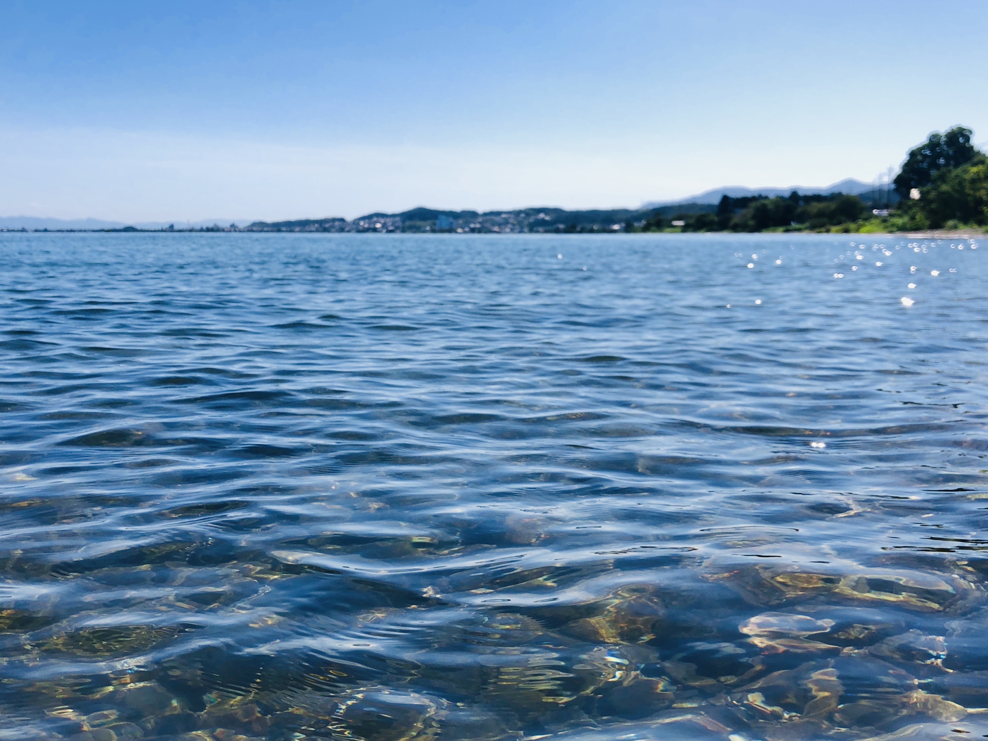 琵琶湖の水温、放水量、水位などがリアルタイムで見れるサイトをご紹介！