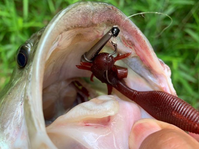 フリリグは釣れる?テキサスリグや直リグとの違いやメリットをご紹介!