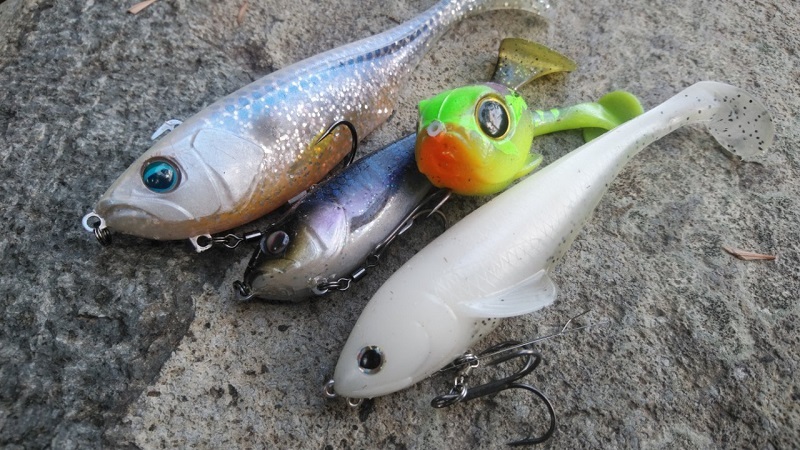 スイムベイトは初心者でも釣れるスゴイルアー！使い所や釣り方をご紹介！