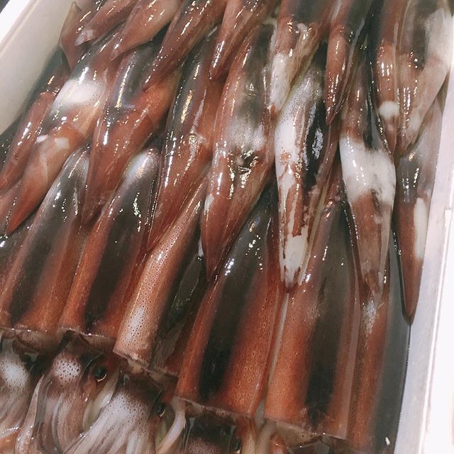 エギングのリーダーの適切な長さや太さの選び方は？種類の違いもご紹介！