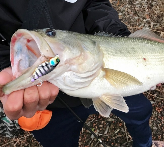 冬のバス釣り6つの攻略術!釣れない悩みを解決する攻め方をご紹介!