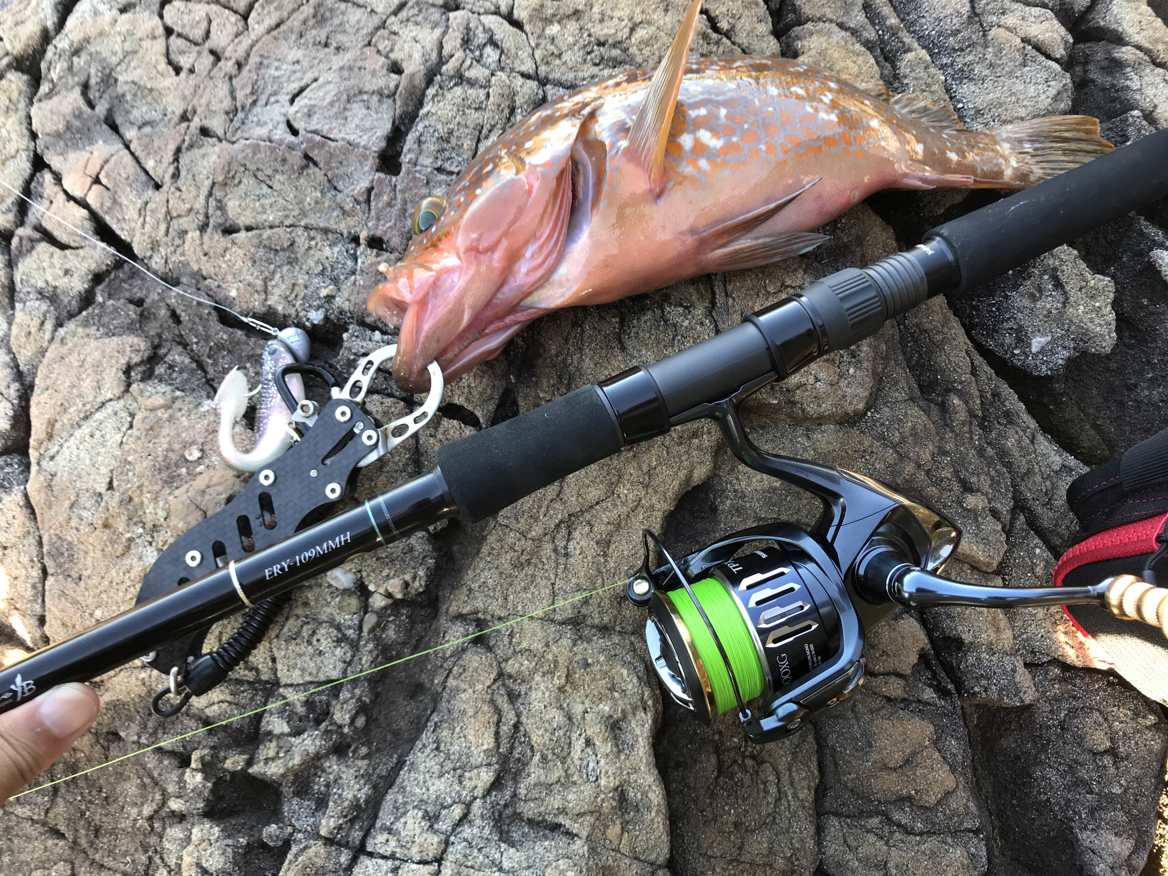 シマノ「ツインパワーXD」の評判は？強度やリールの重さなどを解説！