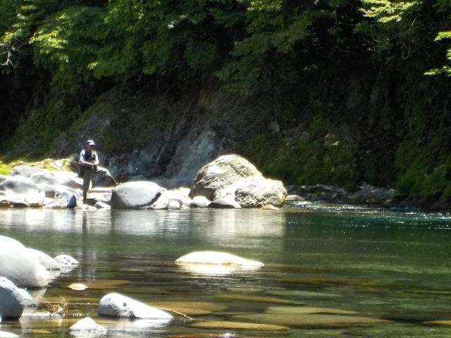 渓流ベイトフィネス用オススメルアー6選！選び方や使い方もご紹介！