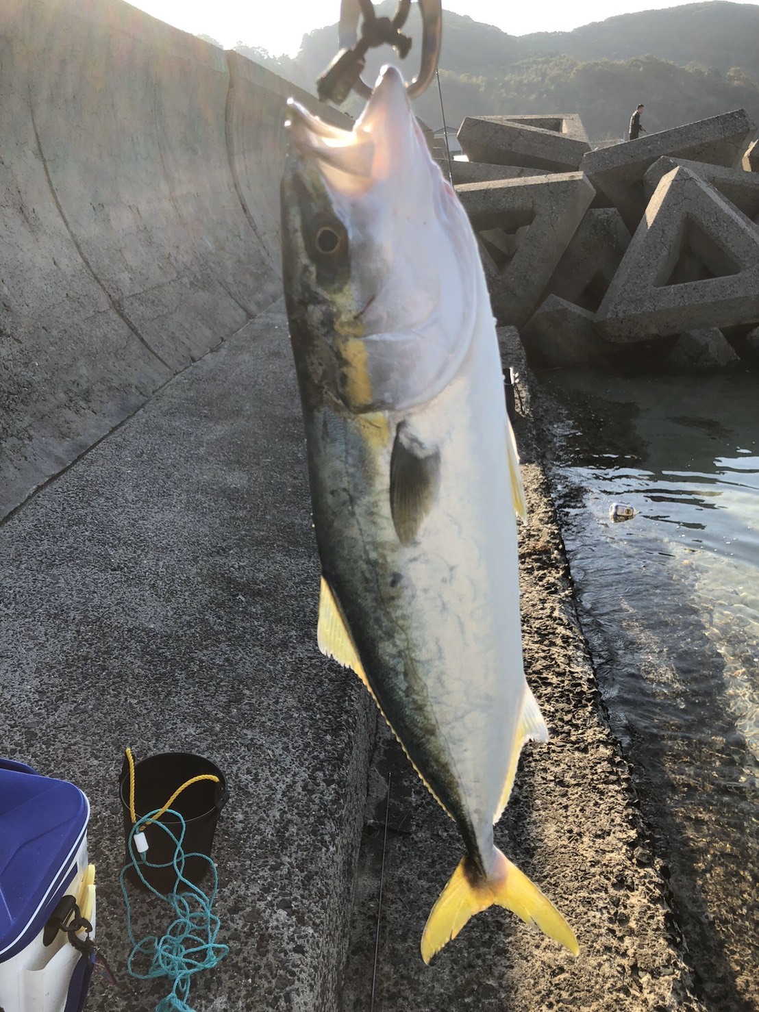 カツオの絶品料理法をご紹介！簡単おいしいレシピやアレンジレシピご紹介！