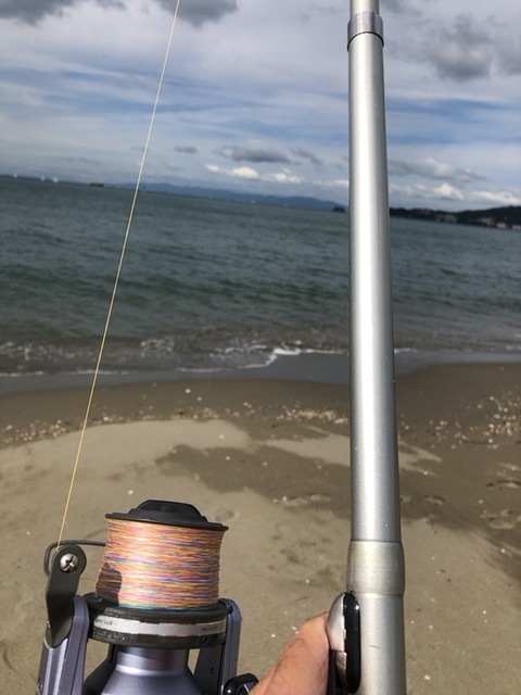 カレイの釣り方の基本を解説！仕掛けやタックル、釣り方のポイントは？