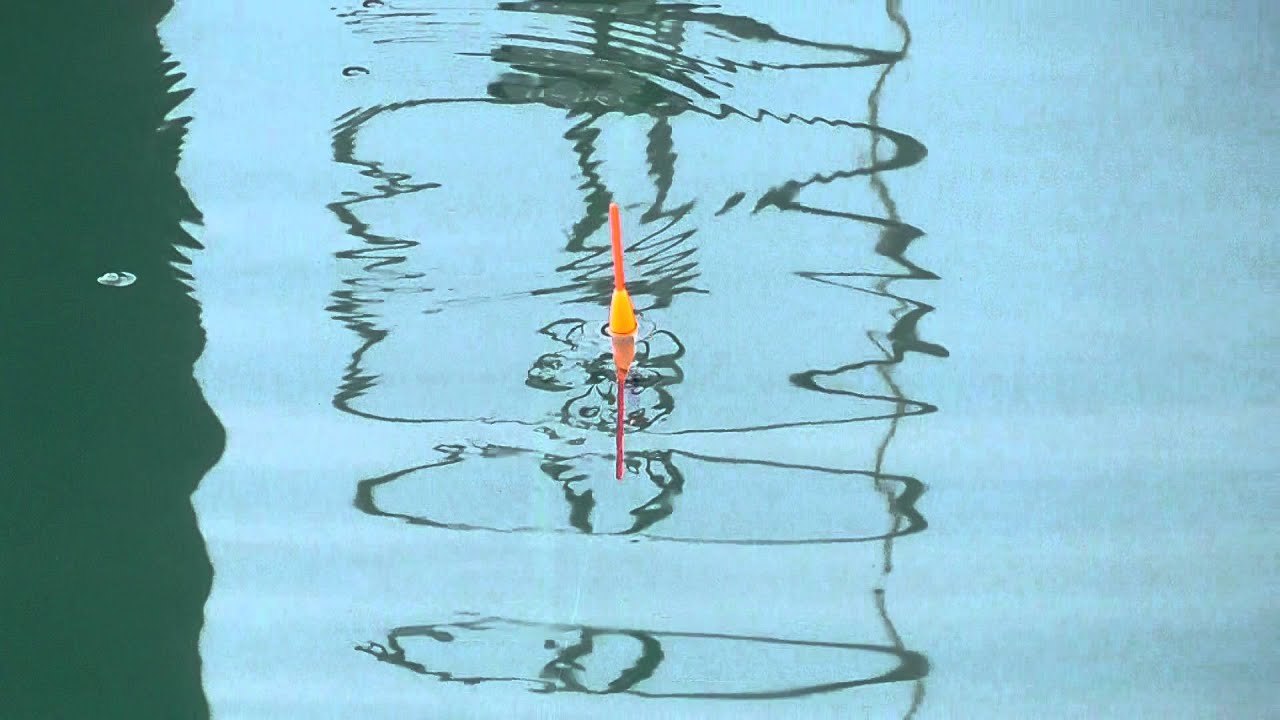 「大阪海上釣り堀サザン」攻略のための5つのポイント!おすすめの仕掛けなどを解説!