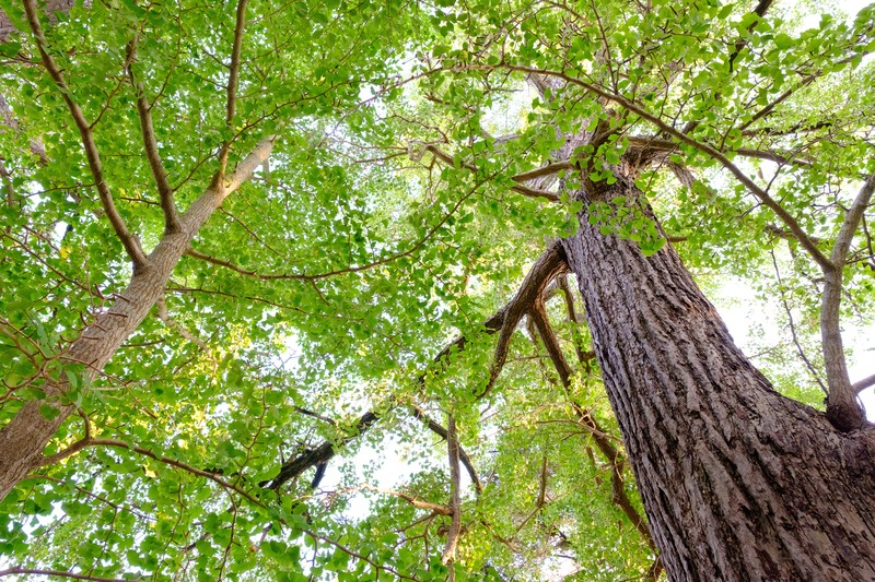 管釣りとは？管釣りならではの楽しさや初心者でも安心の釣れるテクニックをご紹介！