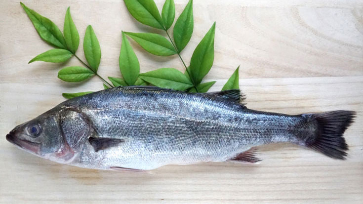 シーバスを食べるおいしい料理方法は?味や刺し身などの料理方法をご紹介!