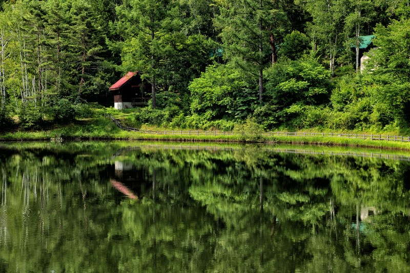 サージェンスノットの結び方は？初心者にも出来る強度のある結び方を解説！